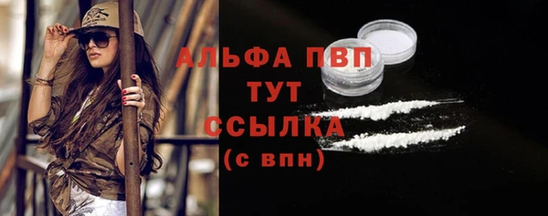 стафф Бородино