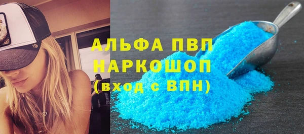 стафф Бородино